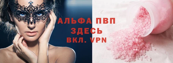 скорость Каменногорск